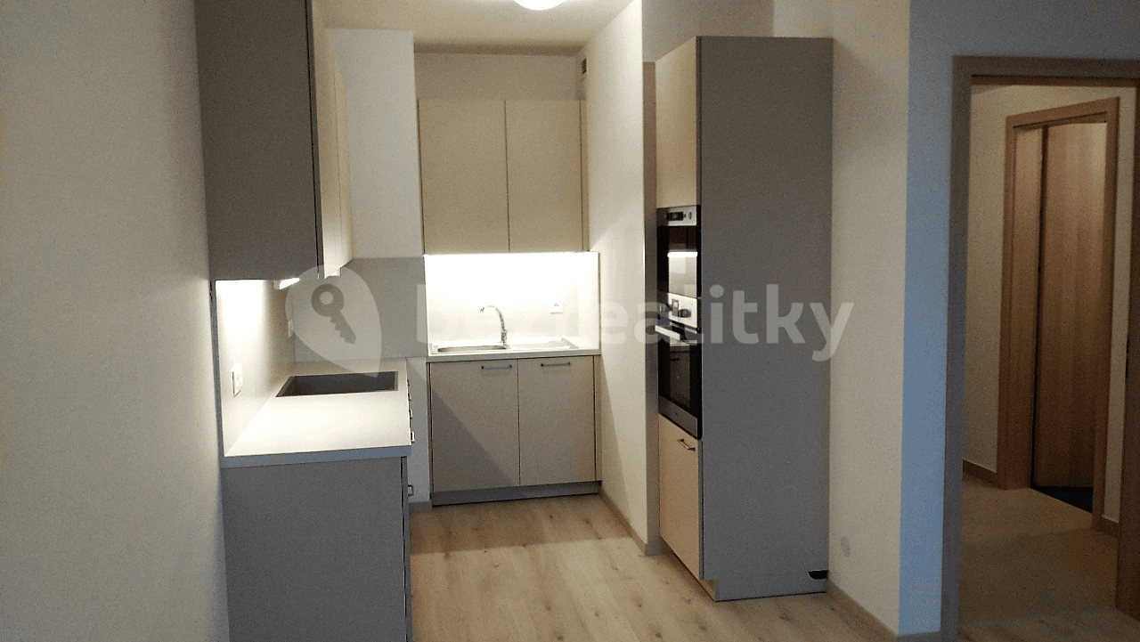 1 bedroom with open-plan kitchen flat to rent, 51 m², K Metru, Prague, Prague 1 bedroom with open-plan kitchen flat to rent, 51 m², K Metru, Prague, Prague