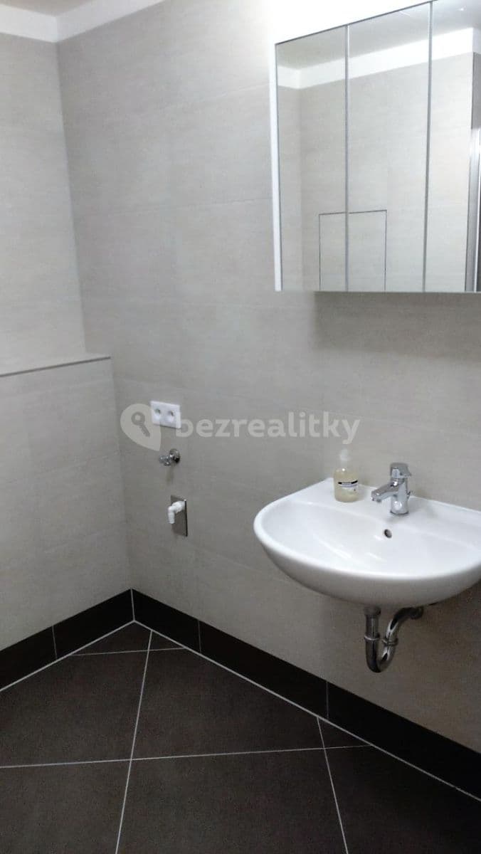 1 bedroom with open-plan kitchen flat to rent, 51 m², K Metru, Prague, Prague 1 bedroom with open-plan kitchen flat to rent, 51 m², K Metru, Prague, Prague
