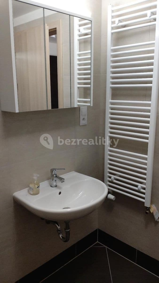 1 bedroom with open-plan kitchen flat to rent, 51 m², K Metru, Prague, Prague 1 bedroom with open-plan kitchen flat to rent, 51 m², K Metru, Prague, Prague