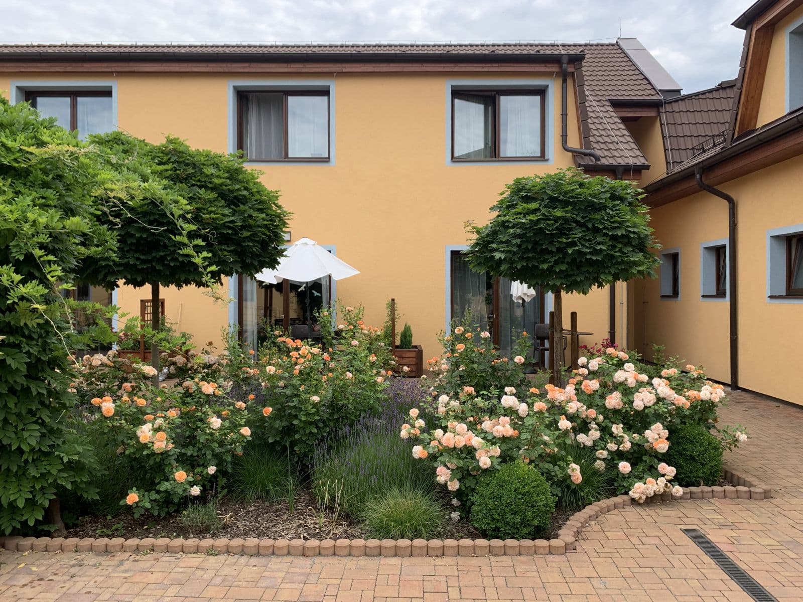 Studio flat to rent, 34 m², Brázdim, Středočeský Region Studio flat to rent, 34 m², Brázdim, Středočeský Region