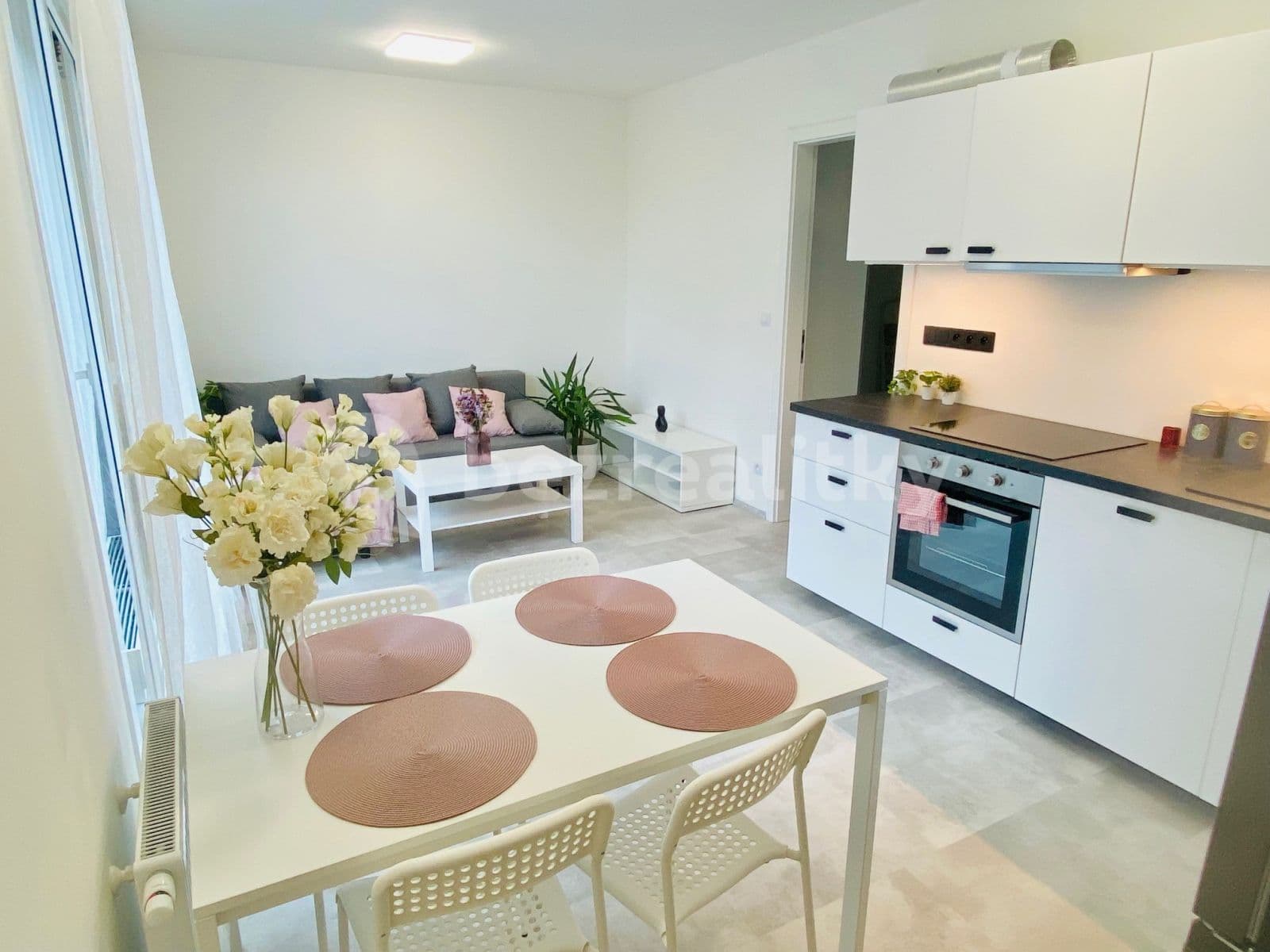 1 bedroom with open-plan kitchen flat to rent, 45 m², Třešňová, Prague, Prague 1 bedroom with open-plan kitchen flat to rent, 45 m², Třešňová, Prague, Prague