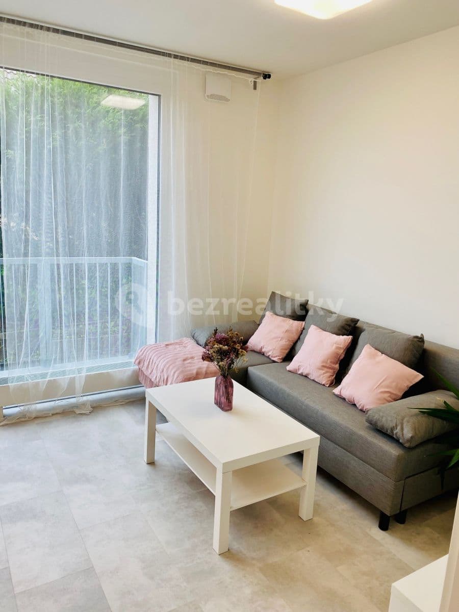 1 bedroom with open-plan kitchen flat to rent, 45 m², Třešňová, Prague, Prague 1 bedroom with open-plan kitchen flat to rent, 45 m², Třešňová, Prague, Prague