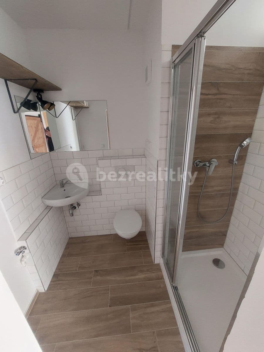 Small studio flat to rent, 26 m², Prague, Prague