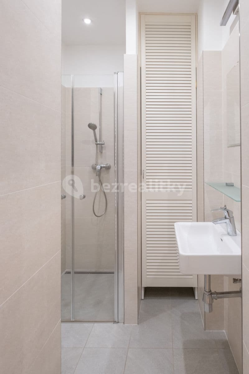 1 bedroom with open-plan kitchen flat to rent, 40 m², Nad Jezerkou, Prague, Prague 1 bedroom with open-plan kitchen flat to rent, 40 m², Nad Jezerkou, Prague, Prague