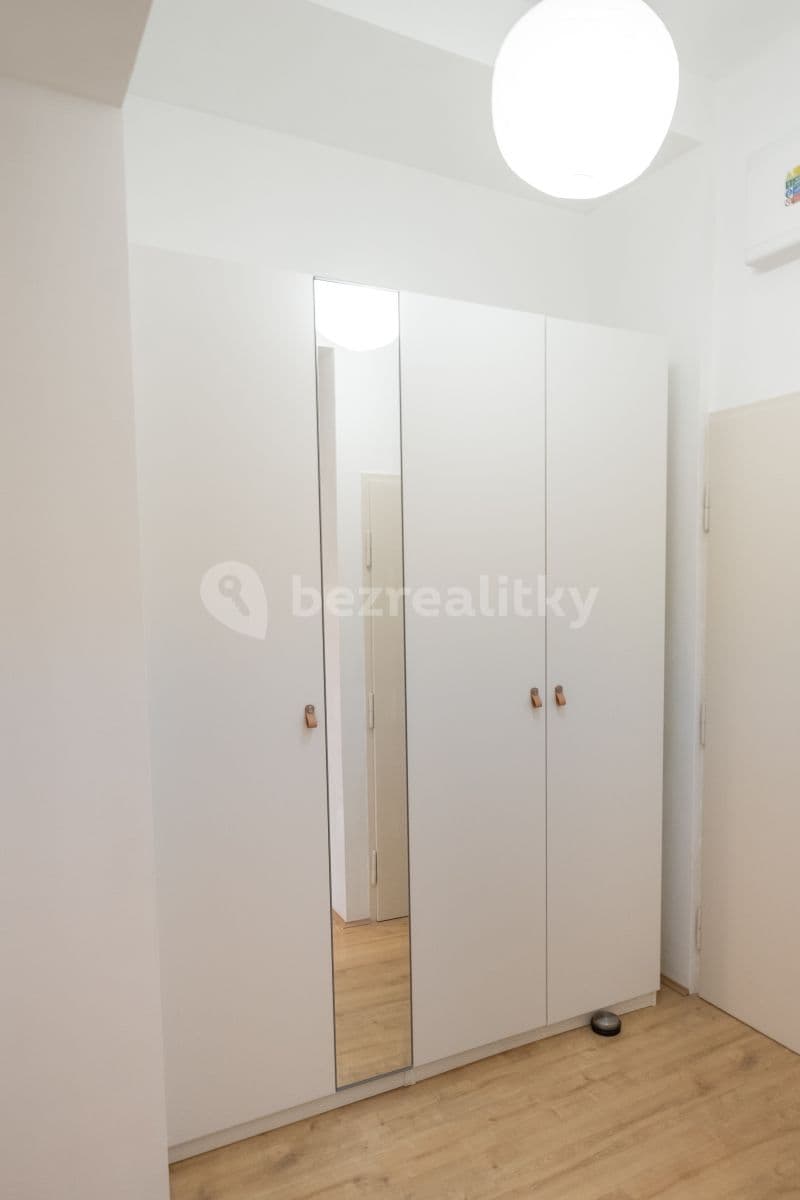1 bedroom with open-plan kitchen flat to rent, 40 m², Nad Jezerkou, Prague, Prague 1 bedroom with open-plan kitchen flat to rent, 40 m², Nad Jezerkou, Prague, Prague