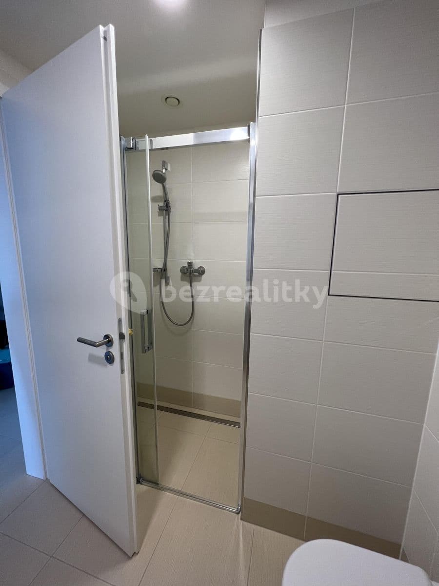 1 bedroom with open-plan kitchen flat to rent, 48 m², K Metru, Prague, Prague 1 bedroom with open-plan kitchen flat to rent, 48 m², K Metru, Prague, Prague