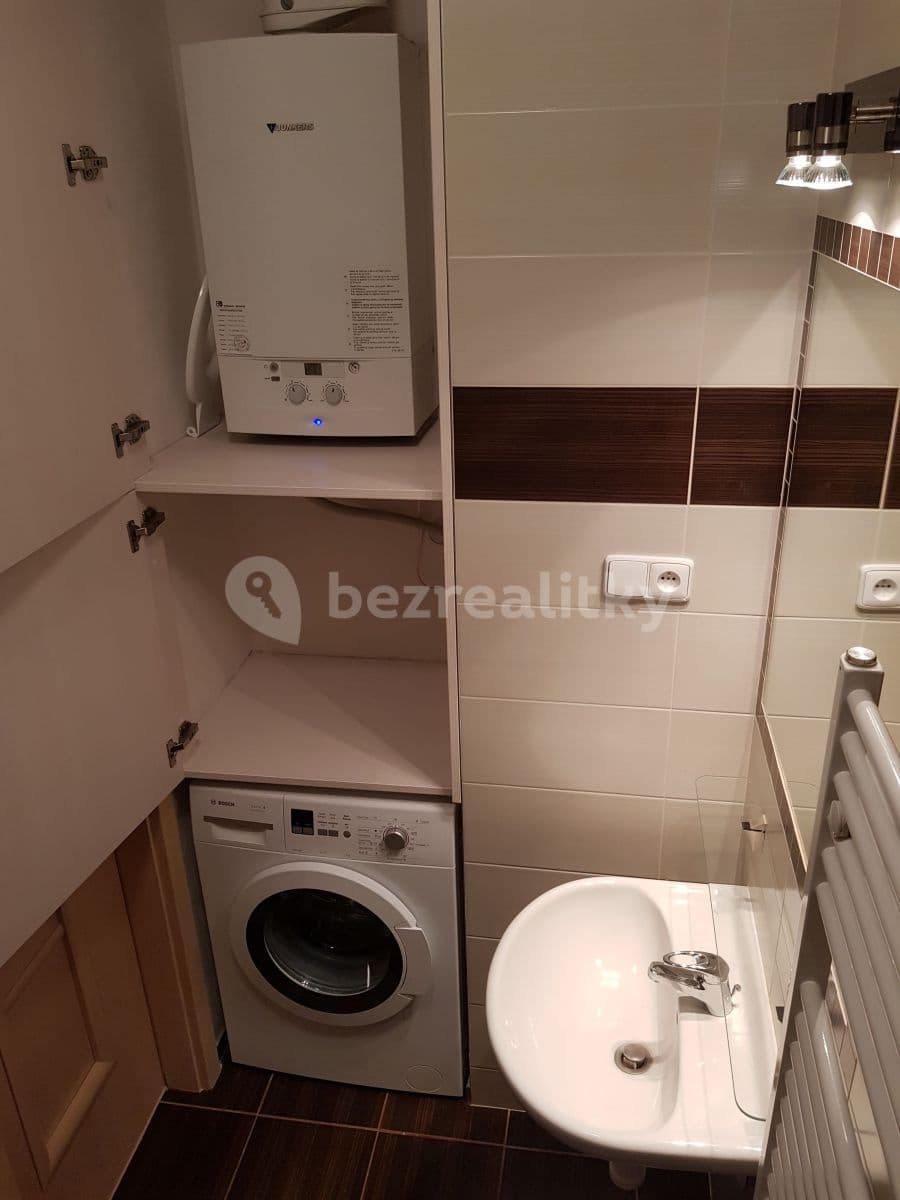 1 bedroom with open-plan kitchen flat to rent, 40 m², U Vinohradské nemocnice, Prague, Prague 1 bedroom with open-plan kitchen flat to rent, 40 m², U Vinohradské nemocnice, Prague, Prague