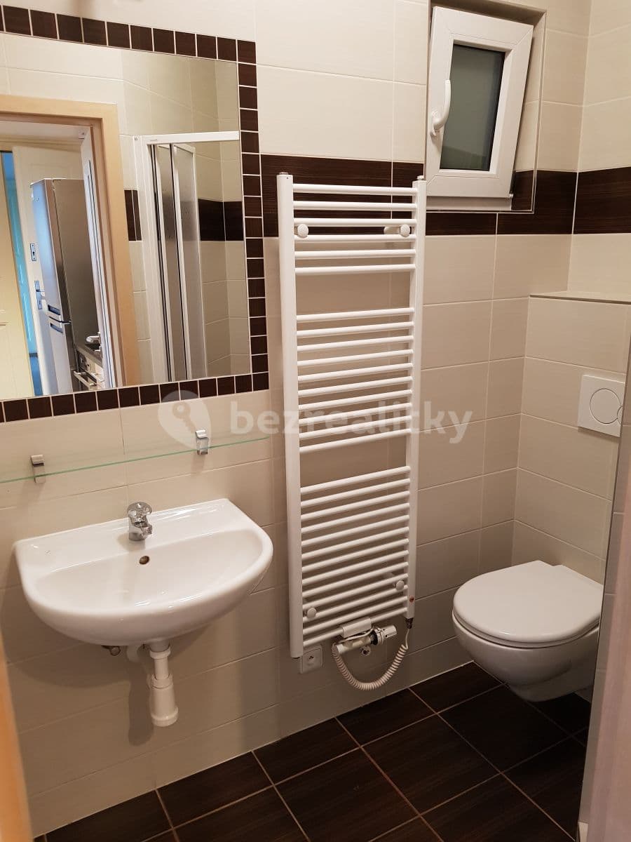 1 bedroom with open-plan kitchen flat to rent, 40 m², U Vinohradské nemocnice, Prague, Prague 1 bedroom with open-plan kitchen flat to rent, 40 m², U Vinohradské nemocnice, Prague, Prague