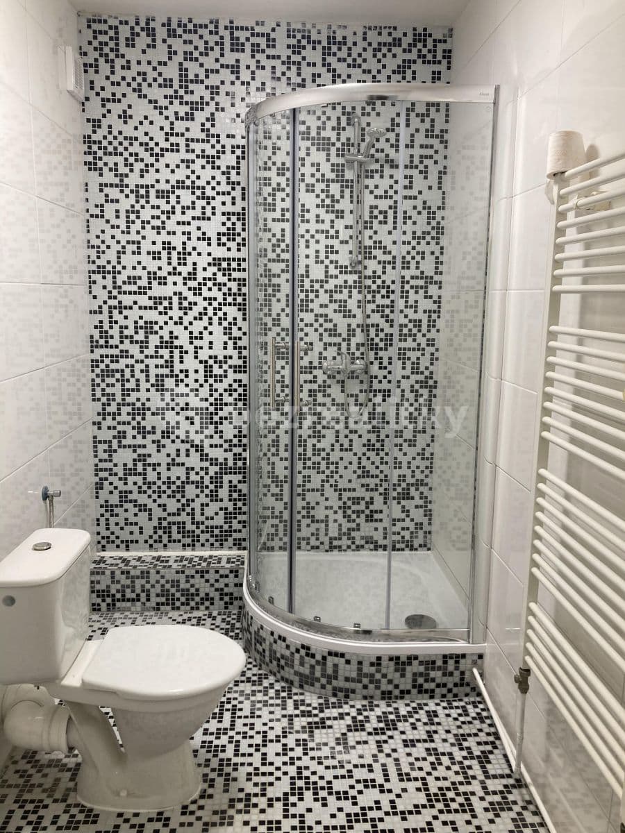 Studio flat to rent, 41 m², Čajkovského, Brno, Jihomoravský Region Studio flat to rent, 41 m², Čajkovského, Brno, Jihomoravský Region