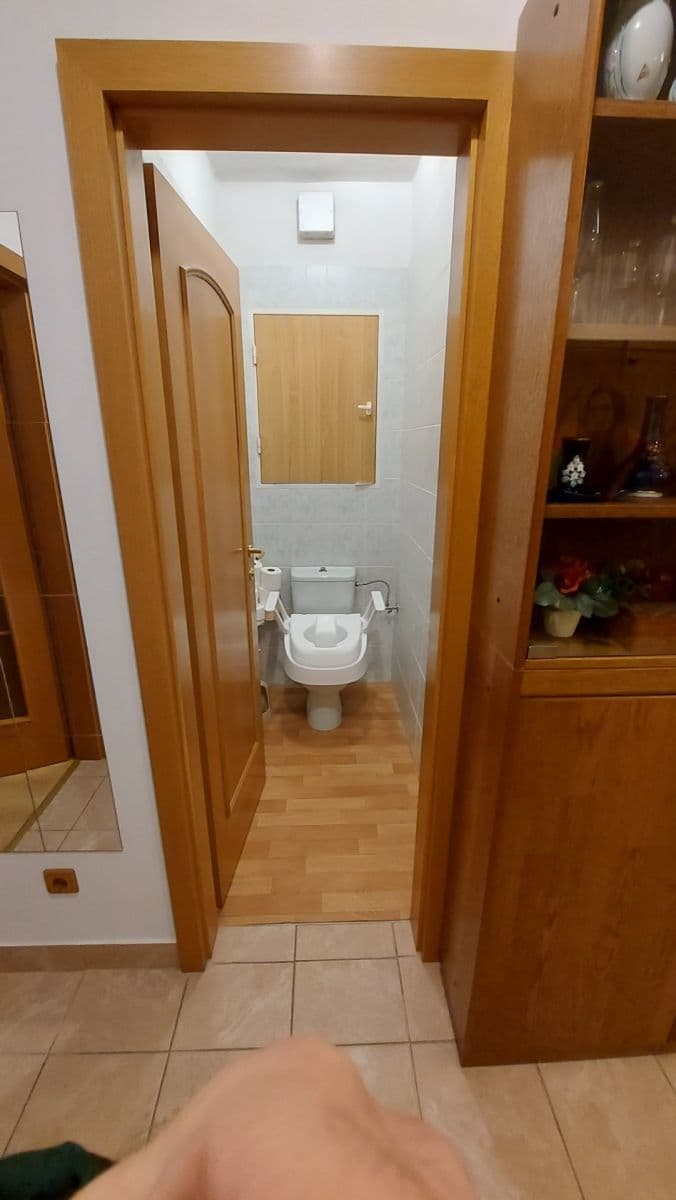 1 bedroom with open-plan kitchen flat to rent, 74 m², Palackého třída, Brno, Jihomoravský Region 1 bedroom with open-plan kitchen flat to rent, 74 m², Palackého třída, Brno, Jihomoravský Region