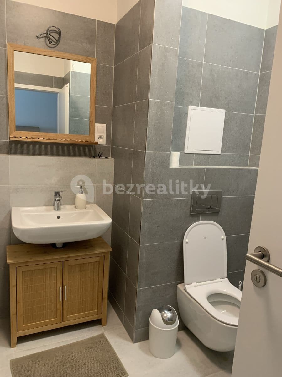 1 bedroom with open-plan kitchen flat to rent, 44 m², Šífařská, Prague, Prague 1 bedroom with open-plan kitchen flat to rent, 44 m², Šífařská, Prague, Prague