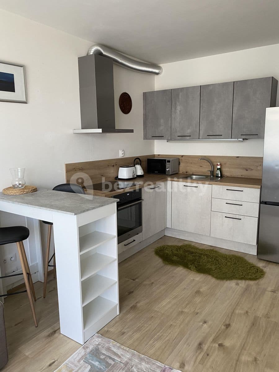 1 bedroom with open-plan kitchen flat to rent, 44 m², Šífařská, Prague, Prague 1 bedroom with open-plan kitchen flat to rent, 44 m², Šífařská, Prague, Prague
