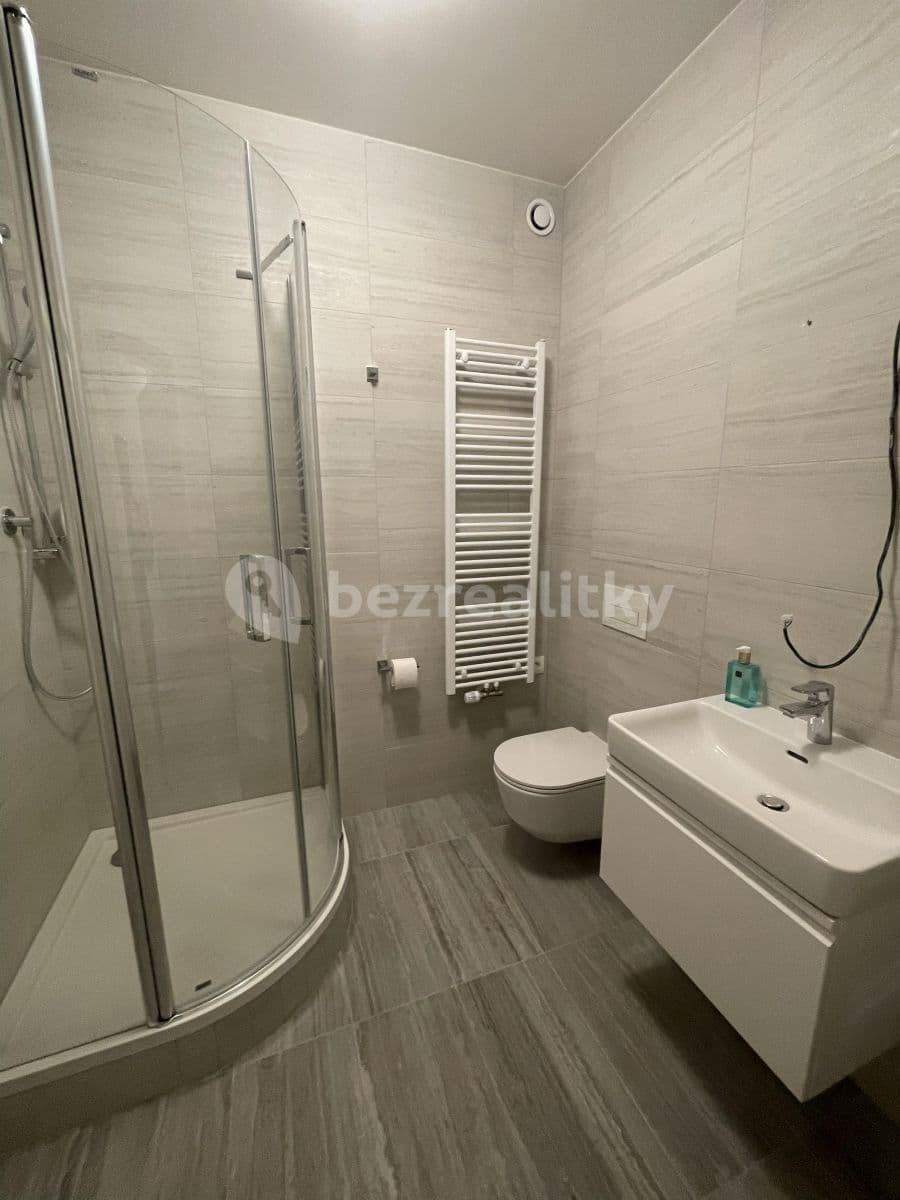 2 bedroom with open-plan kitchen flat to rent, 93 m², Za karlínským přístavem, Prague, Prague 2 bedroom with open-plan kitchen flat to rent, 93 m², Za karlínským přístavem, Prague, Prague