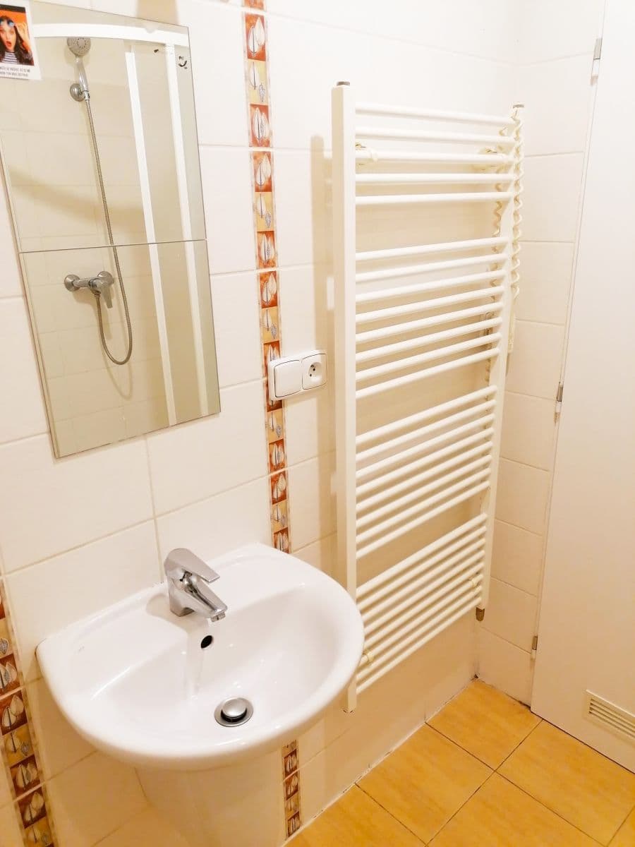 1 bedroom flat to rent, 30 m², Neklež, Brno, Jihomoravský Region 1 bedroom flat to rent, 30 m², Neklež, Brno, Jihomoravský Region