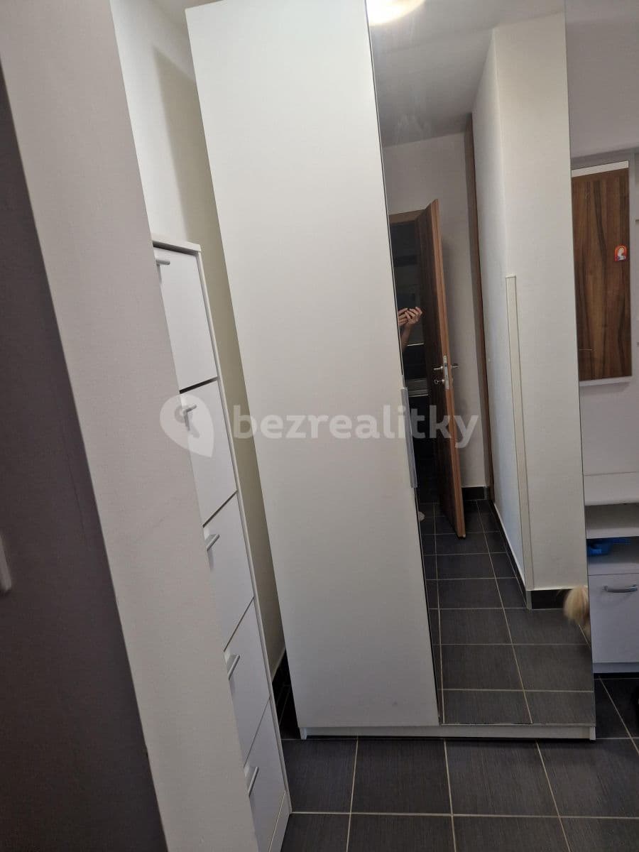 2 bedroom with open-plan kitchen flat to rent, 56 m², Svojšovická, Prague, Prague 2 bedroom with open-plan kitchen flat to rent, 56 m², Svojšovická, Prague, Prague