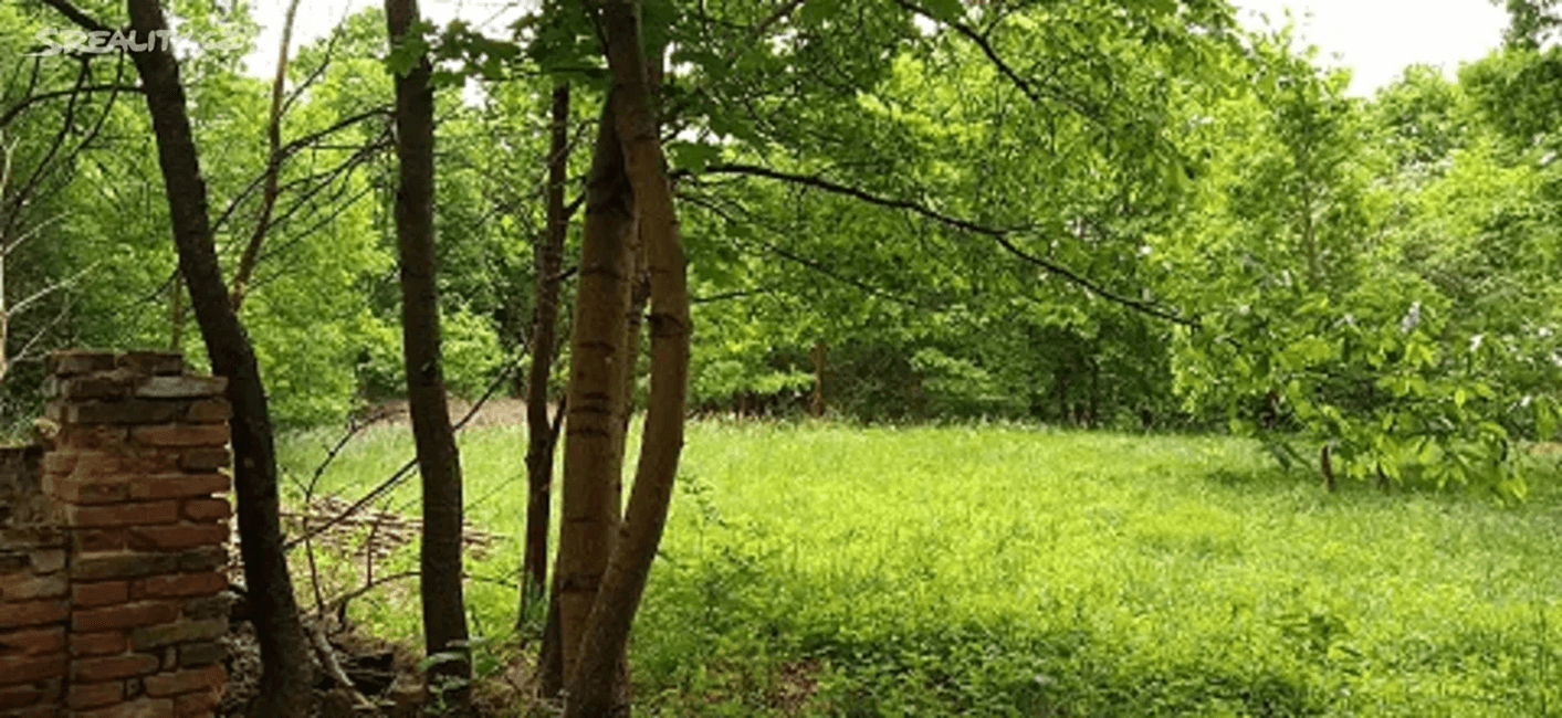 plot for sale, 4,000 m², Rakovice, Jihočeský Region plot for sale, 4,000 m², Rakovice, Jihočeský Region