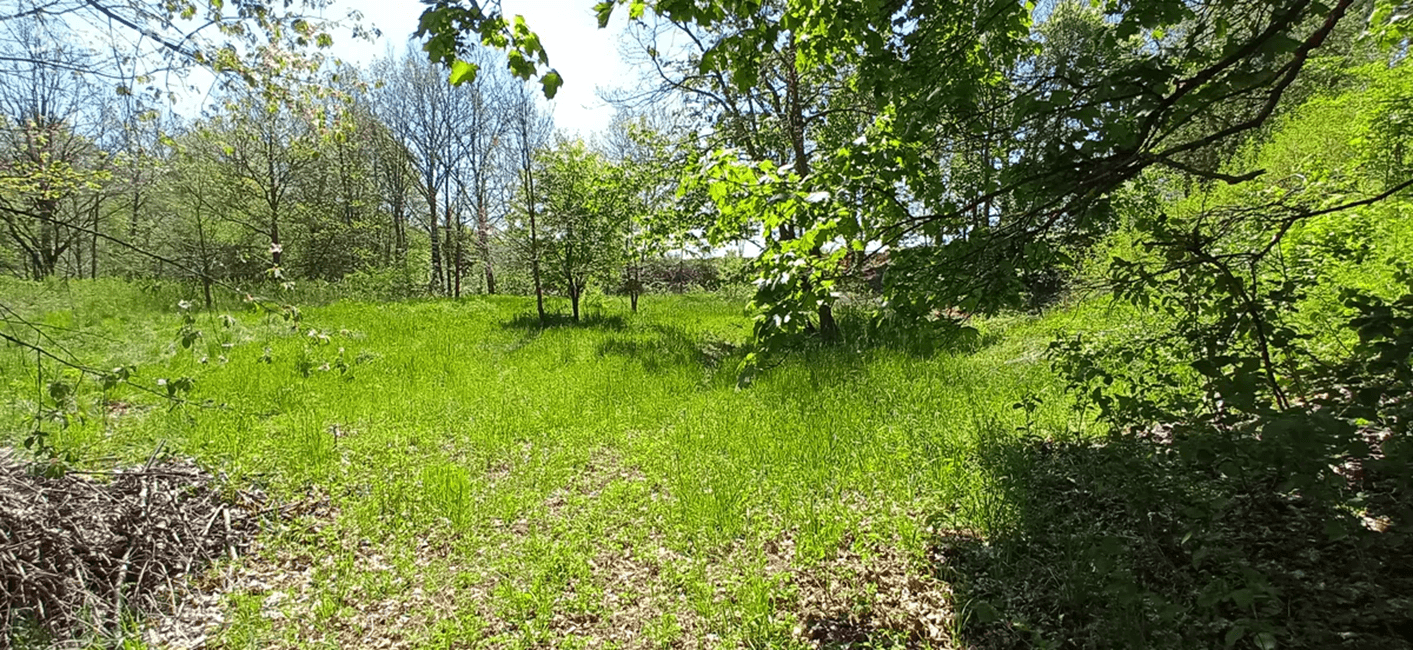 plot for sale, 4,000 m², Rakovice, Jihočeský Region plot for sale, 4,000 m², Rakovice, Jihočeský Region