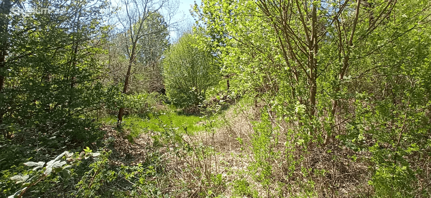 plot for sale, 4,000 m², Rakovice, Jihočeský Region plot for sale, 4,000 m², Rakovice, Jihočeský Region