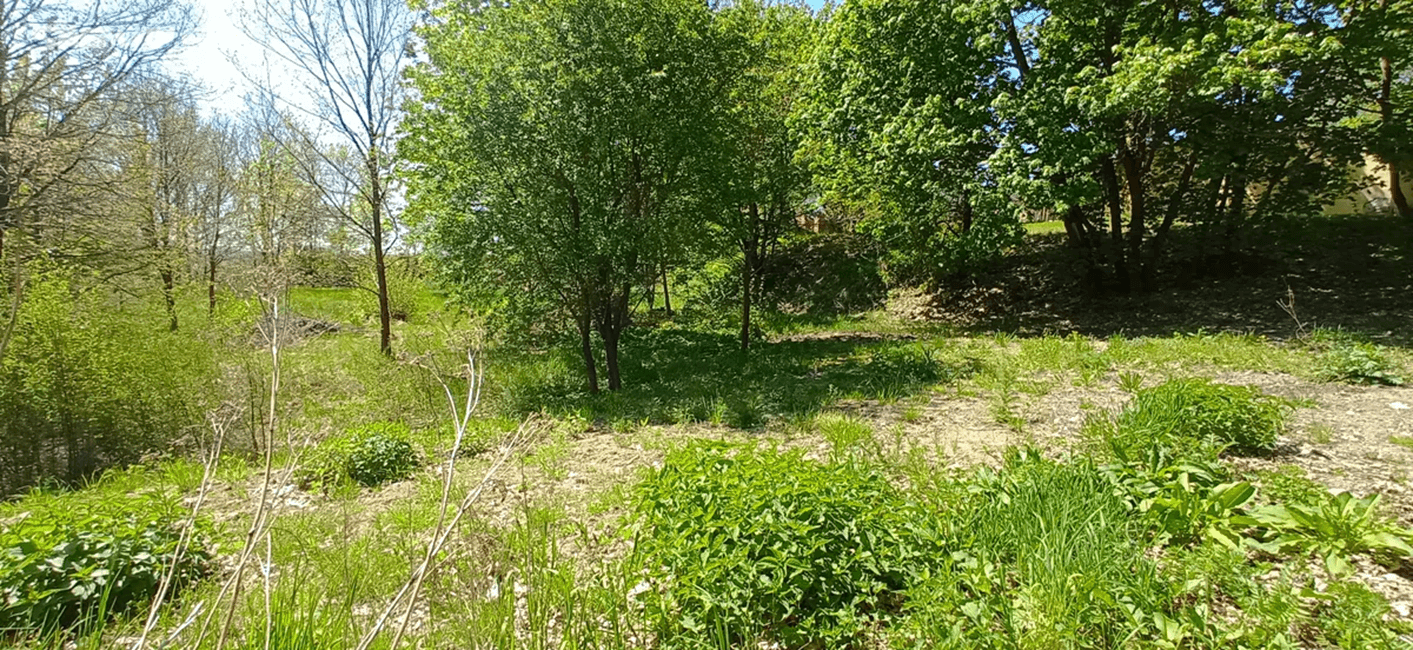 plot for sale, 4,000 m², Rakovice, Jihočeský Region plot for sale, 4,000 m², Rakovice, Jihočeský Region