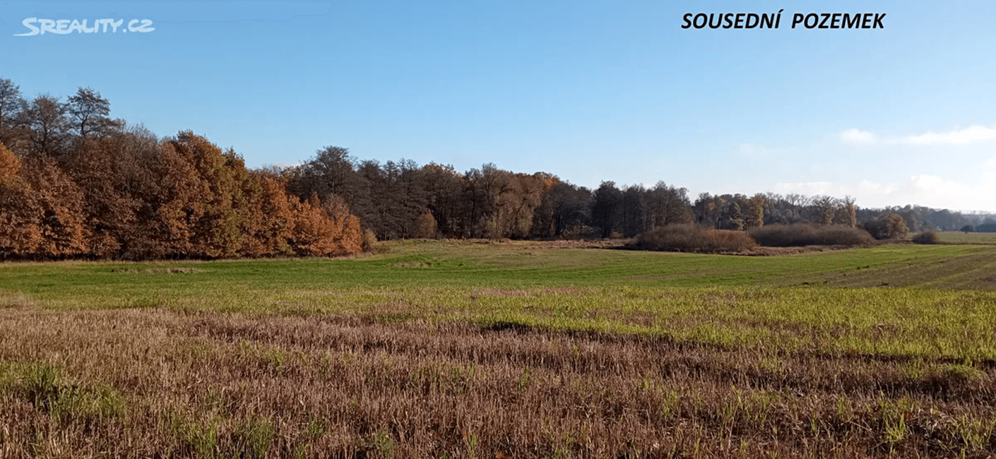 plot for sale, 4,000 m², Rakovice, Jihočeský Region plot for sale, 4,000 m², Rakovice, Jihočeský Region