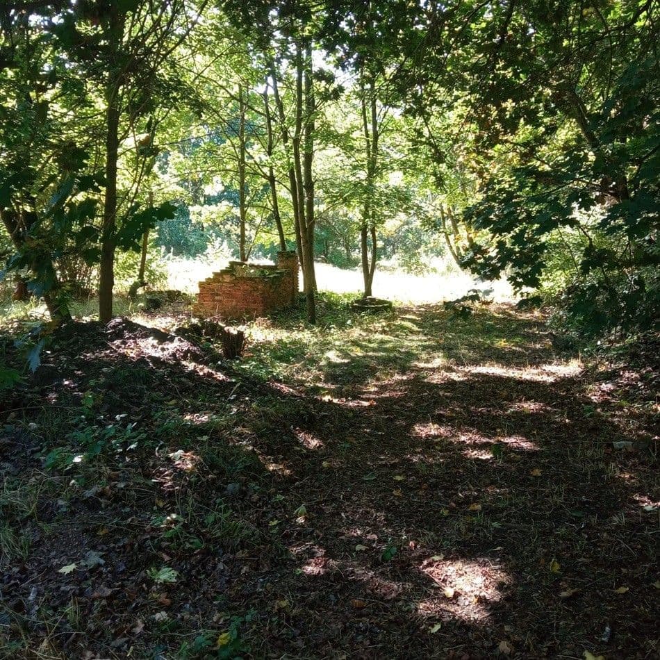 plot for sale, 4,000 m², Rakovice, Jihočeský Region plot for sale, 4,000 m², Rakovice, Jihočeský Region