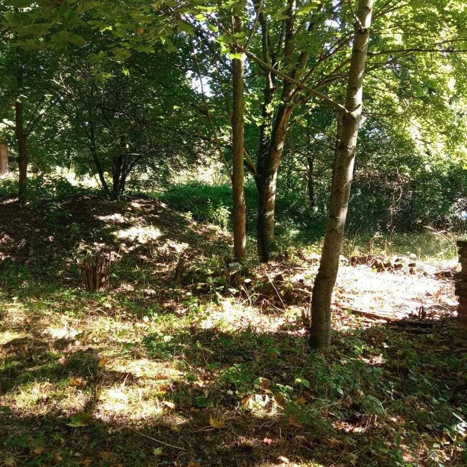 plot for sale, 4,000 m², Rakovice, Jihočeský Region plot for sale, 4,000 m², Rakovice, Jihočeský Region