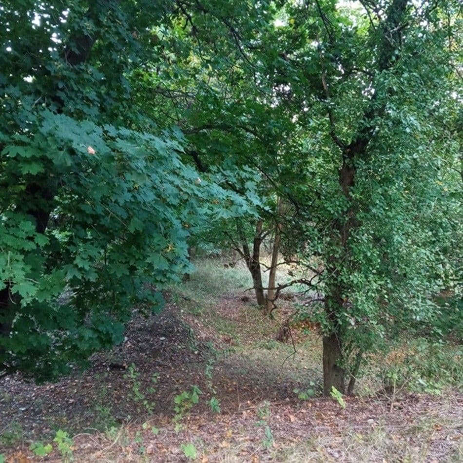 plot for sale, 4,000 m², Rakovice, Jihočeský Region plot for sale, 4,000 m², Rakovice, Jihočeský Region