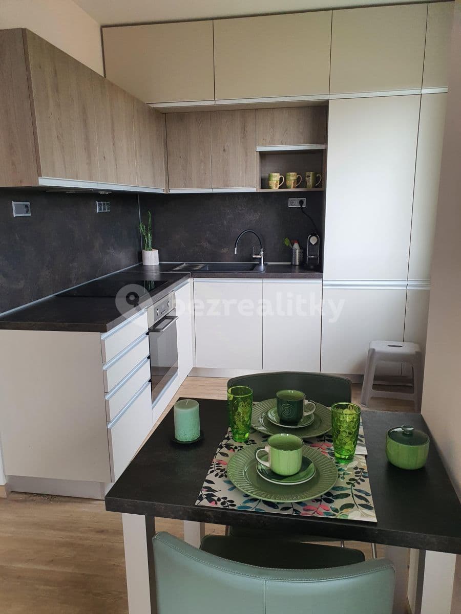 1 bedroom with open-plan kitchen flat to rent, 53 m², Bratislavská, Prague, Prague 1 bedroom with open-plan kitchen flat to rent, 53 m², Bratislavská, Prague, Prague