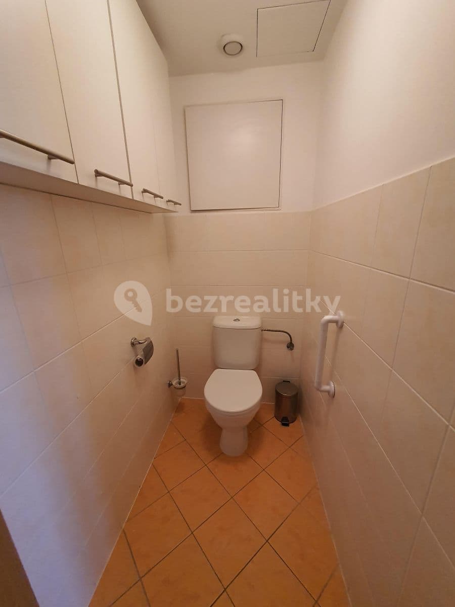 1 bedroom with open-plan kitchen flat to rent, 53 m², Bratislavská, Prague, Prague 1 bedroom with open-plan kitchen flat to rent, 53 m², Bratislavská, Prague, Prague