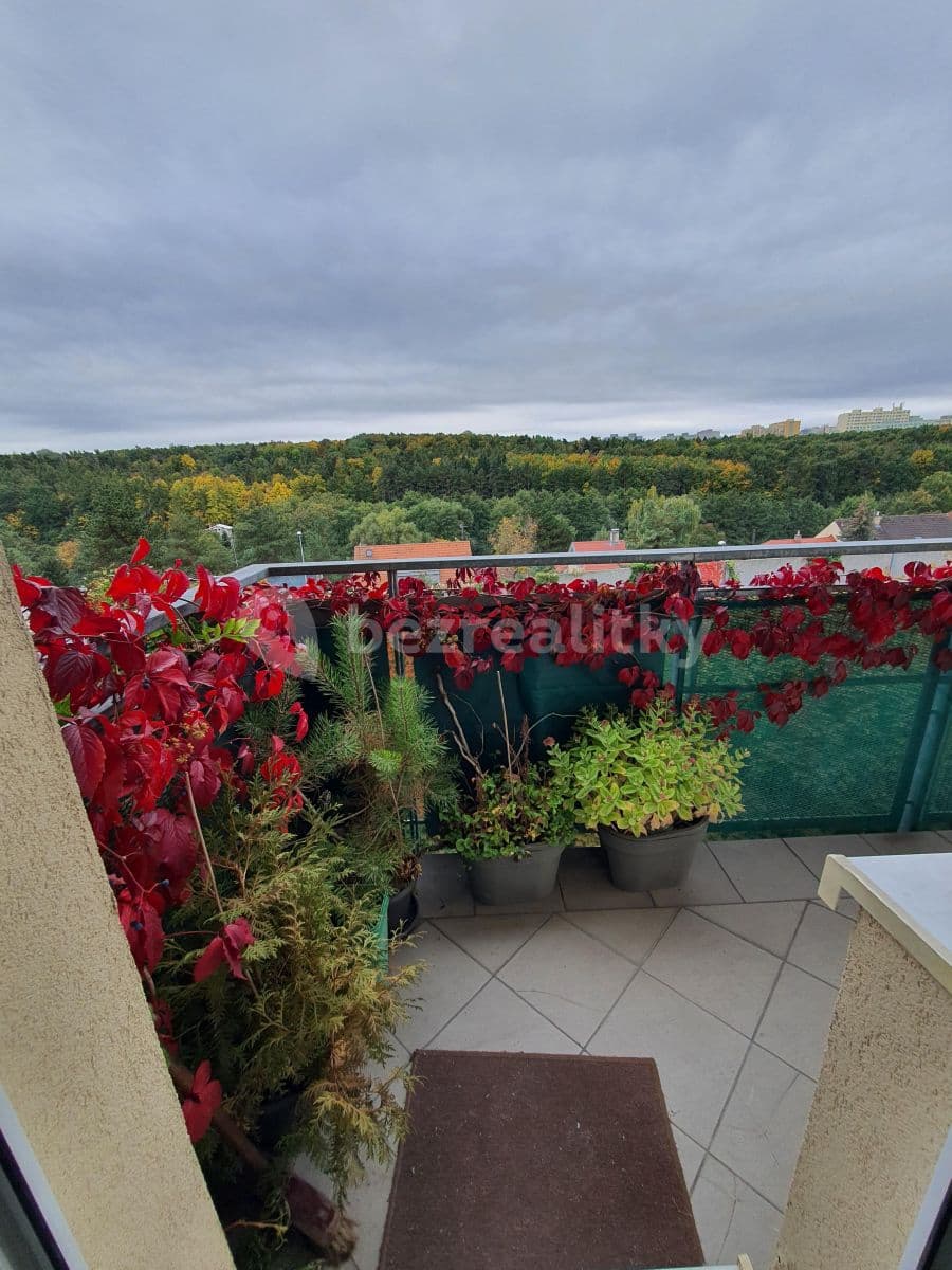 1 bedroom with open-plan kitchen flat to rent, 53 m², Bratislavská, Prague, Prague 1 bedroom with open-plan kitchen flat to rent, 53 m², Bratislavská, Prague, Prague