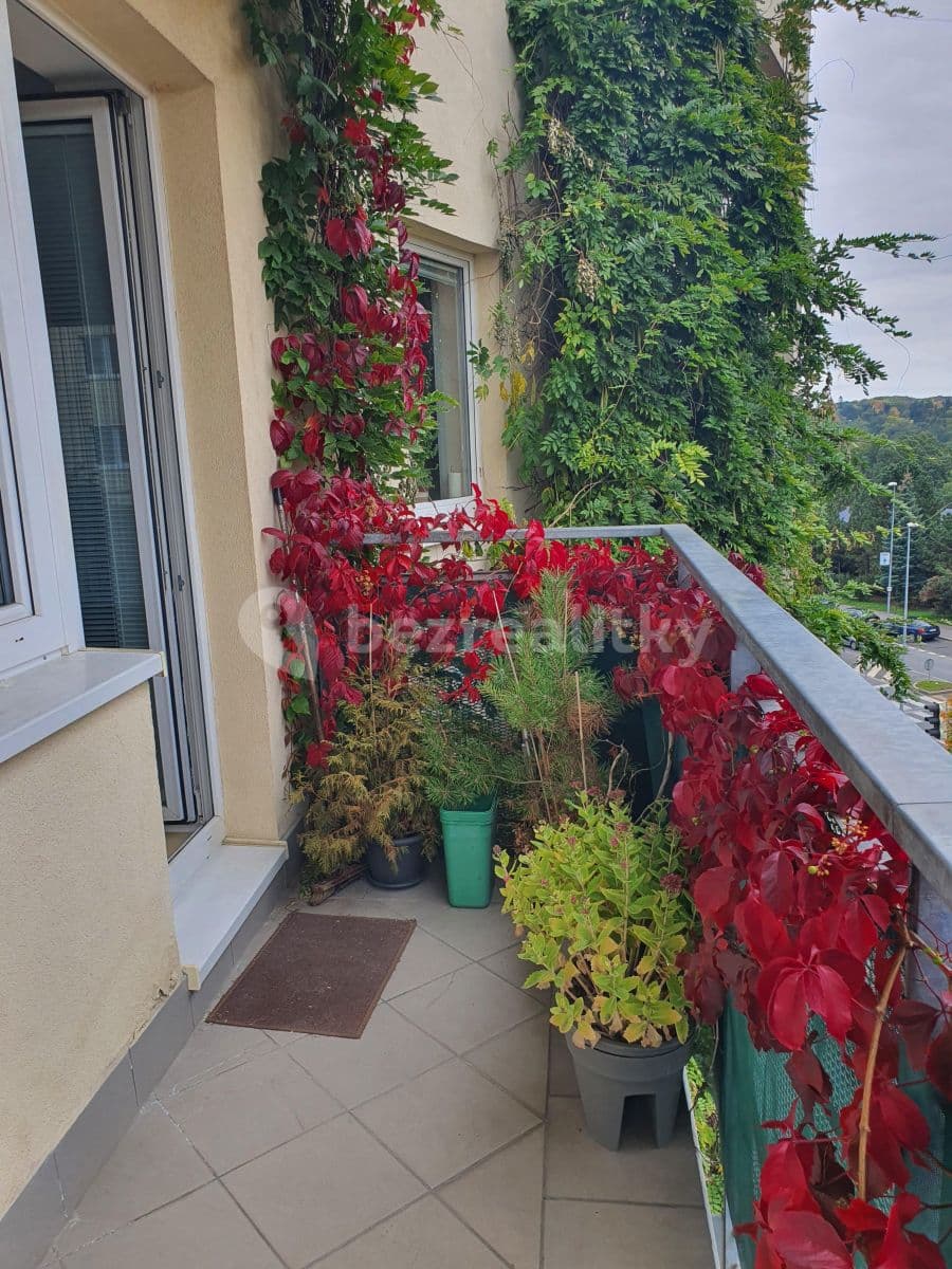 1 bedroom with open-plan kitchen flat to rent, 53 m², Bratislavská, Prague, Prague 1 bedroom with open-plan kitchen flat to rent, 53 m², Bratislavská, Prague, Prague