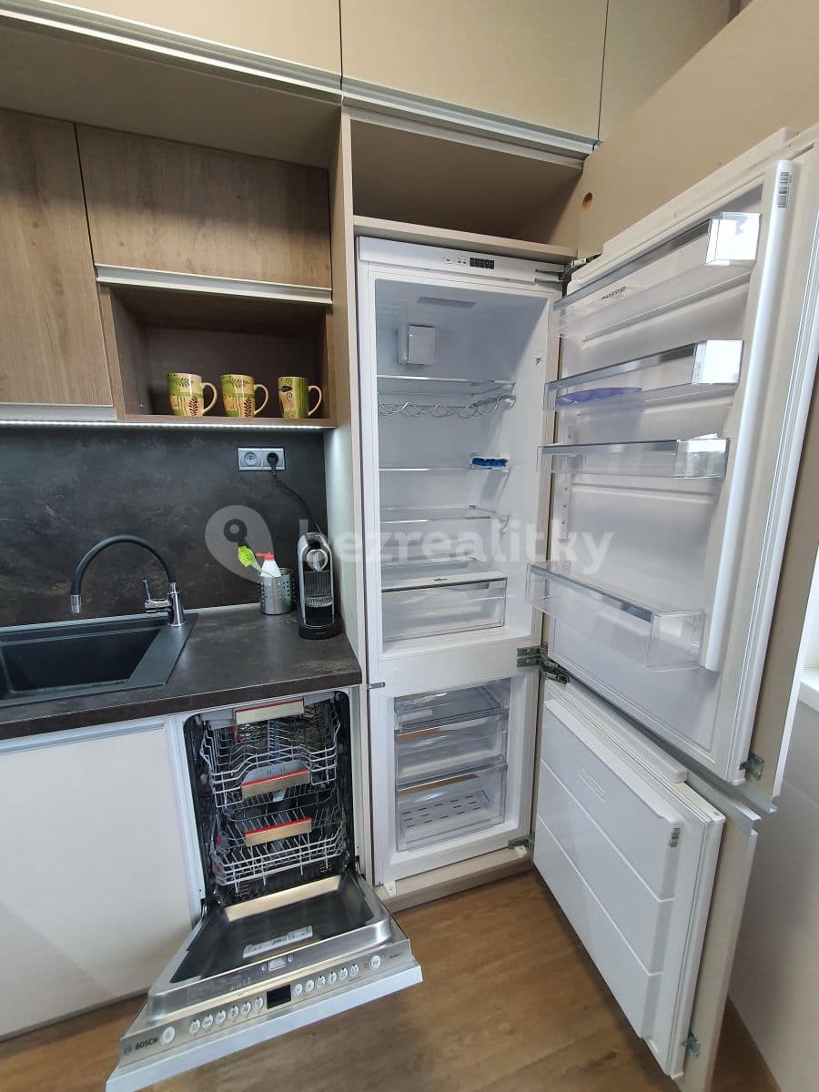 1 bedroom with open-plan kitchen flat to rent, 53 m², Bratislavská, Prague, Prague 1 bedroom with open-plan kitchen flat to rent, 53 m², Bratislavská, Prague, Prague