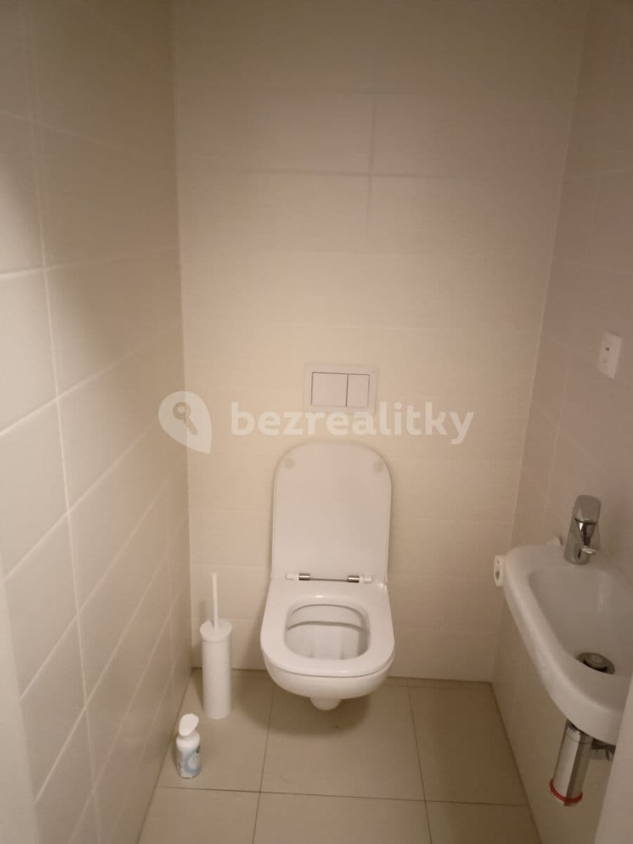 1 bedroom with open-plan kitchen flat to rent, 55 m², U Mlýnského kanálu, Prague, Prague 1 bedroom with open-plan kitchen flat to rent, 55 m², U Mlýnského kanálu, Prague, Prague