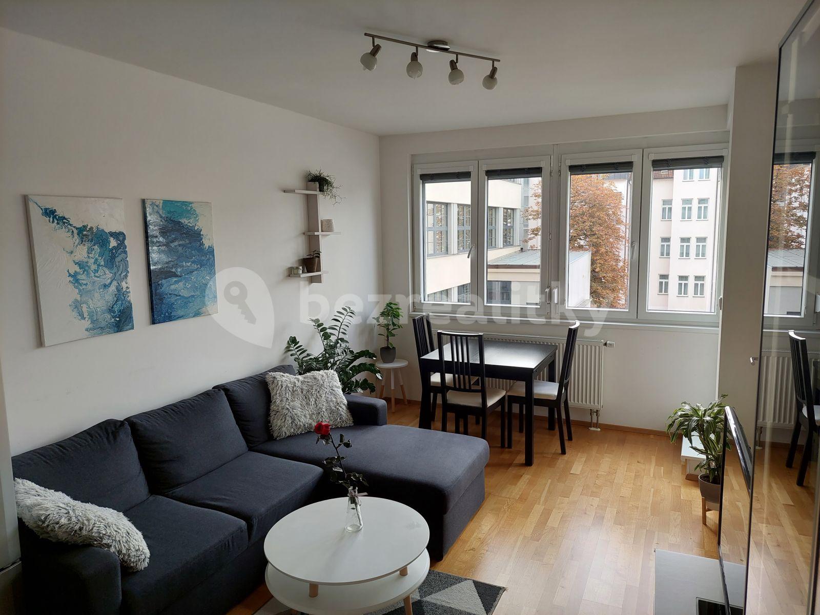1 bedroom with open-plan kitchen flat to rent, 50 m², U Svobodárny, Prague, Prague