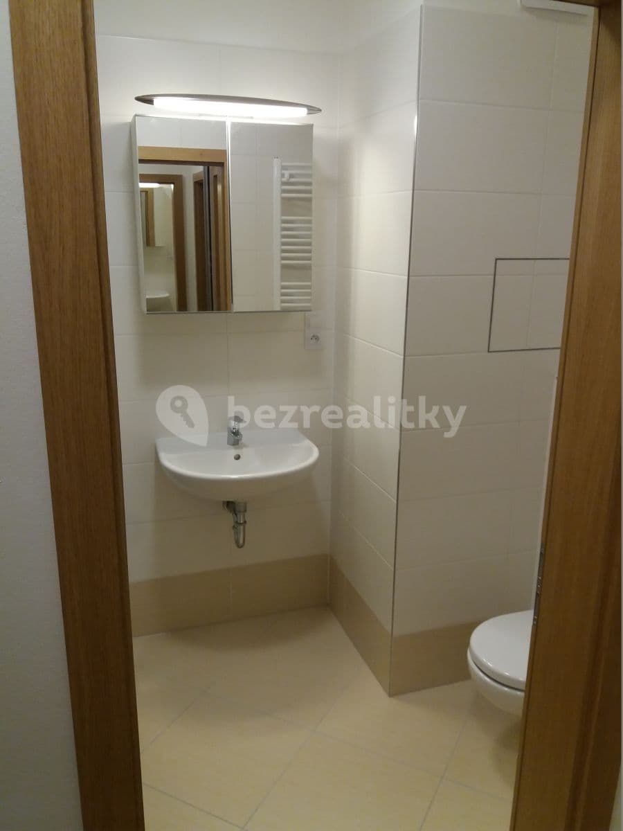 Studio flat to rent, 30 m², Hlučkova, Prague, Prague Studio flat to rent, 30 m², Hlučkova, Prague, Prague