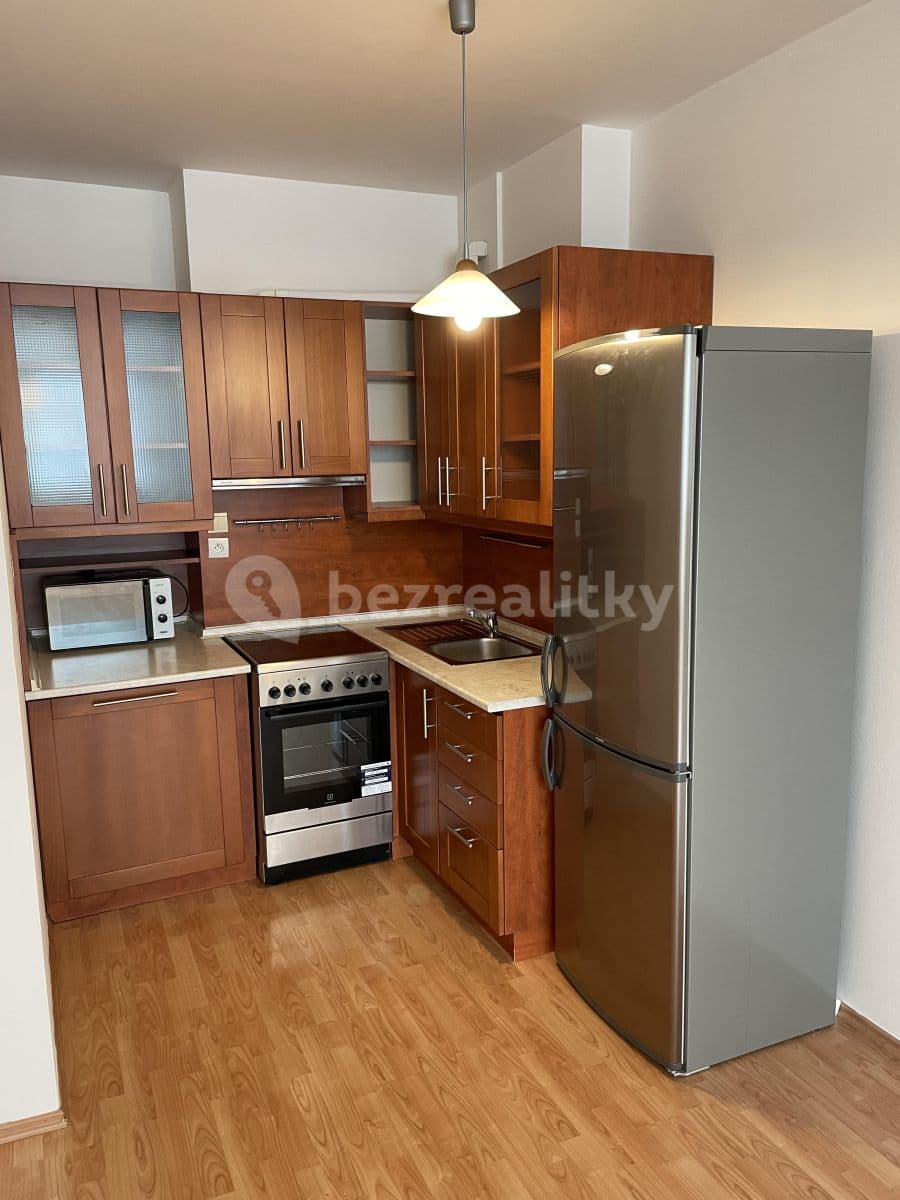 1 bedroom with open-plan kitchen flat to rent, 50 m², Voskovcova, Prague, Prague 1 bedroom with open-plan kitchen flat to rent, 50 m², Voskovcova, Prague, Prague