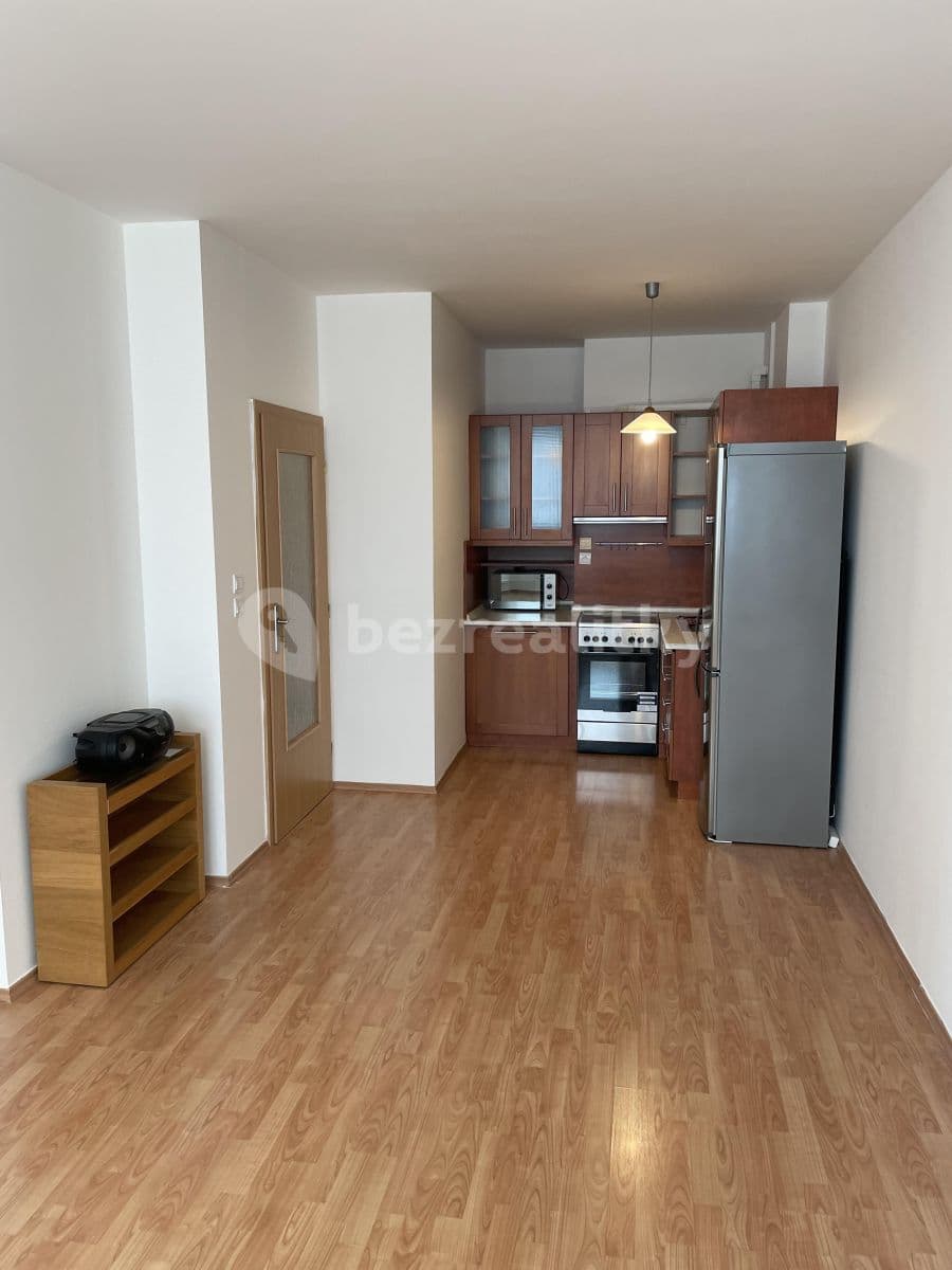 1 bedroom with open-plan kitchen flat to rent, 50 m², Voskovcova, Prague, Prague 1 bedroom with open-plan kitchen flat to rent, 50 m², Voskovcova, Prague, Prague