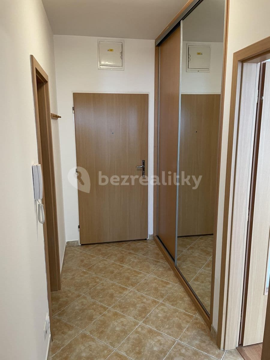 1 bedroom with open-plan kitchen flat to rent, 50 m², Voskovcova, Prague, Prague 1 bedroom with open-plan kitchen flat to rent, 50 m², Voskovcova, Prague, Prague