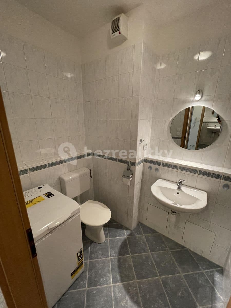 1 bedroom with open-plan kitchen flat to rent, 50 m², Voskovcova, Prague, Prague 1 bedroom with open-plan kitchen flat to rent, 50 m², Voskovcova, Prague, Prague