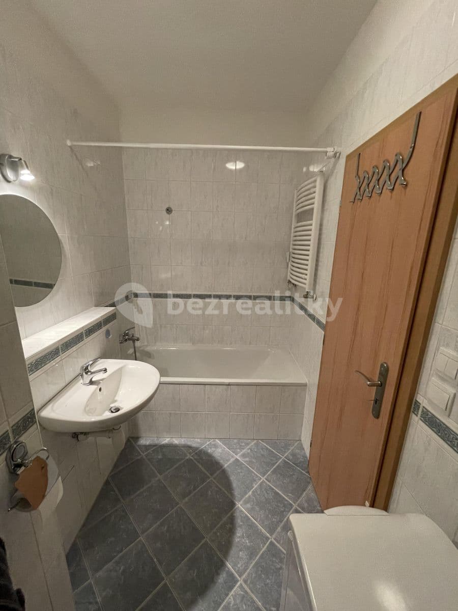 1 bedroom with open-plan kitchen flat to rent, 50 m², Voskovcova, Prague, Prague 1 bedroom with open-plan kitchen flat to rent, 50 m², Voskovcova, Prague, Prague