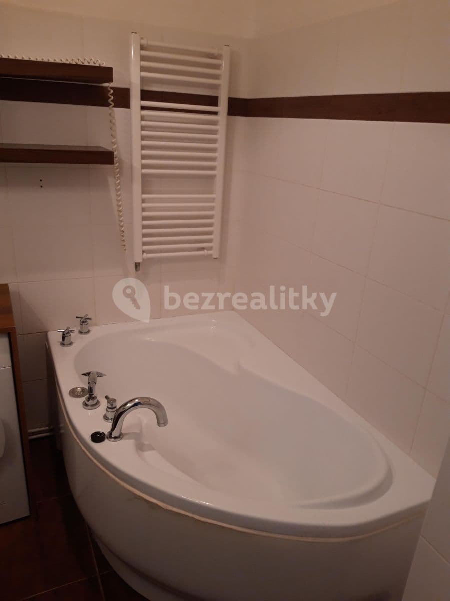 1 bedroom with open-plan kitchen flat to rent, 53 m², Prouzova, Prague, Prague 1 bedroom with open-plan kitchen flat to rent, 53 m², Prouzova, Prague, Prague