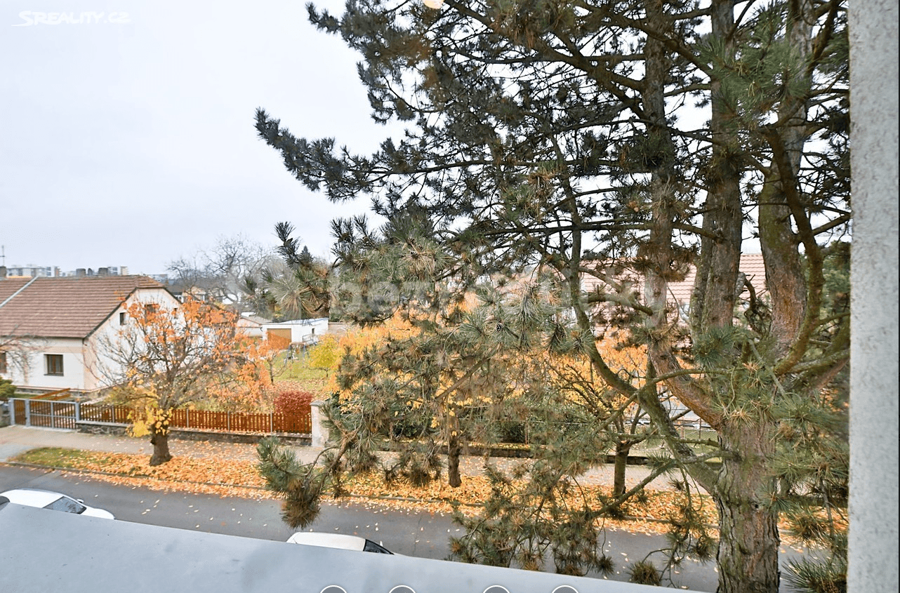 1 bedroom with open-plan kitchen flat to rent, 58 m², Tvrdého, Prague, Prague 1 bedroom with open-plan kitchen flat to rent, 58 m², Tvrdého, Prague, Prague