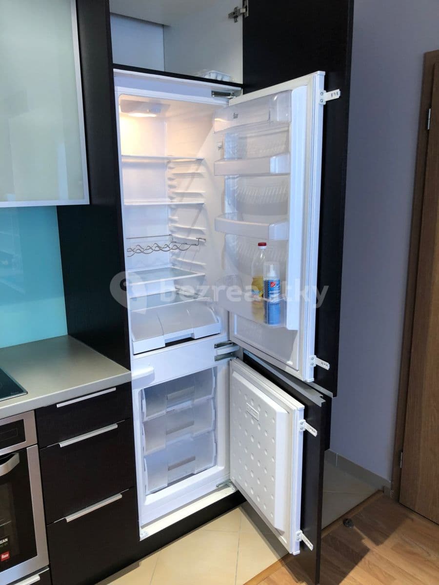 1 bedroom with open-plan kitchen flat to rent, 55 m², Hugo Haase, Prague, Prague 1 bedroom with open-plan kitchen flat to rent, 55 m², Hugo Haase, Prague, Prague