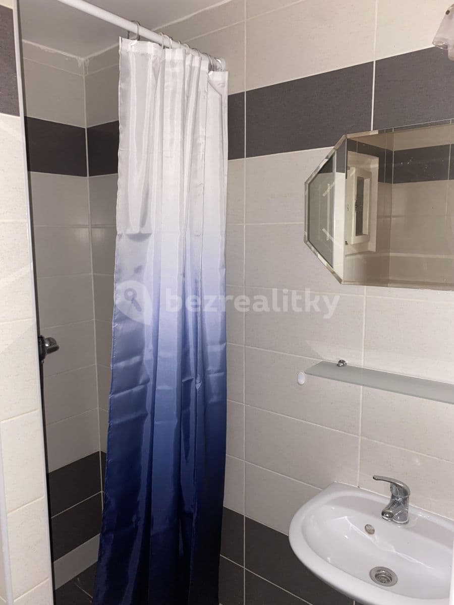 1 bedroom with open-plan kitchen flat to rent, 38 m², Podbělohorská, Prague, Prague 1 bedroom with open-plan kitchen flat to rent, 38 m², Podbělohorská, Prague, Prague