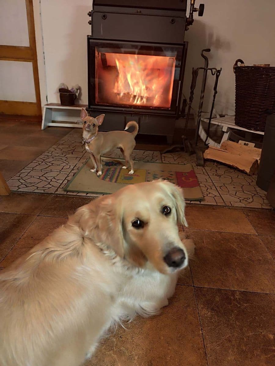 recreational property to rent, 0 m², Levínská Olešnice, Liberecký Region recreational property to rent, 0 m², Levínská Olešnice, Liberecký Region