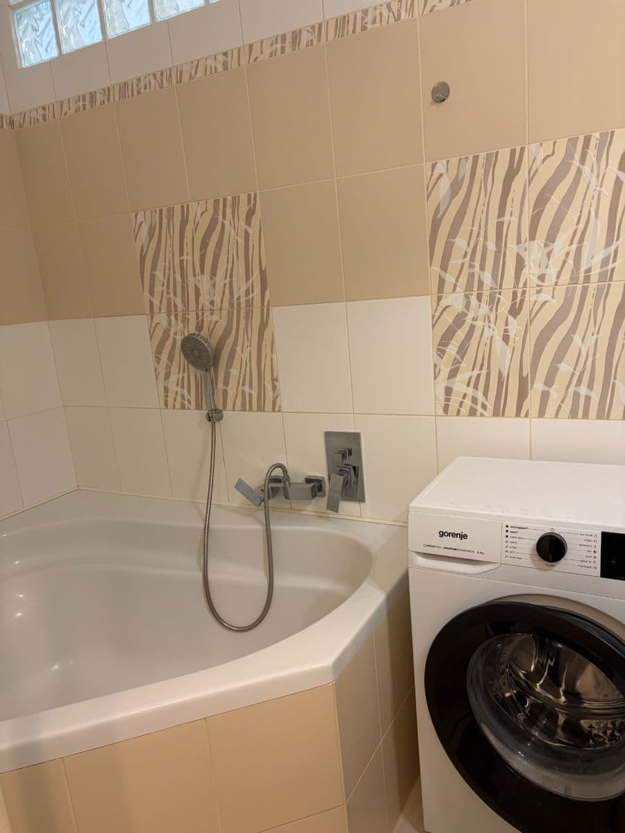 1 bedroom with open-plan kitchen flat to rent, 55 m², Jihlavská, Prague, Prague 1 bedroom with open-plan kitchen flat to rent, 55 m², Jihlavská, Prague, Prague