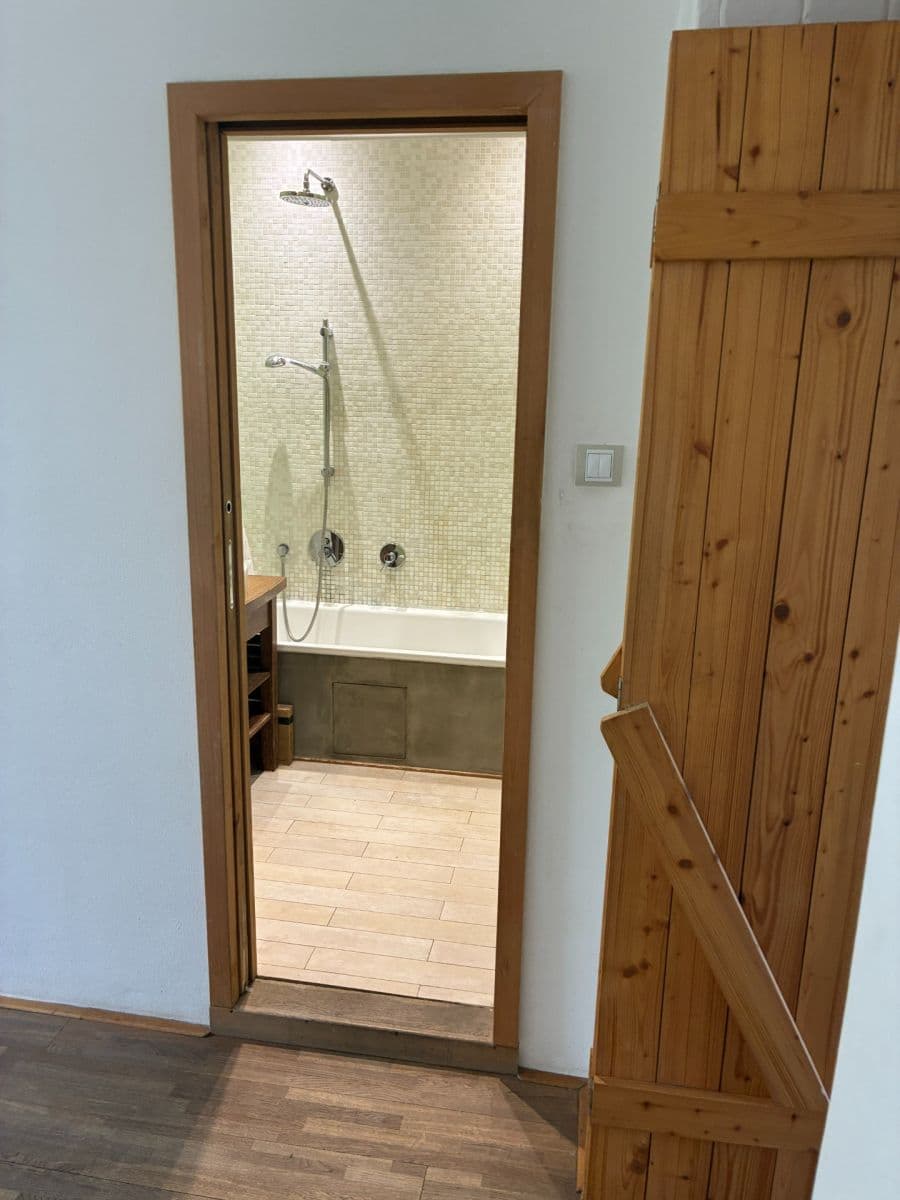 1 bedroom with open-plan kitchen flat to rent, 52 m², U Uranie, Prague, Prague 1 bedroom with open-plan kitchen flat to rent, 52 m², U Uranie, Prague, Prague