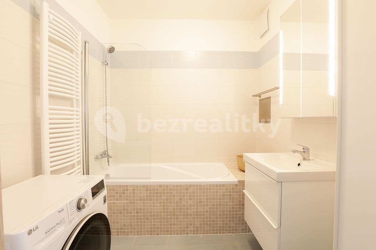 1 bedroom with open-plan kitchen flat to rent, 55 m², Rychtáře Petříka, Prague, Prague 1 bedroom with open-plan kitchen flat to rent, 55 m², Rychtáře Petříka, Prague, Prague