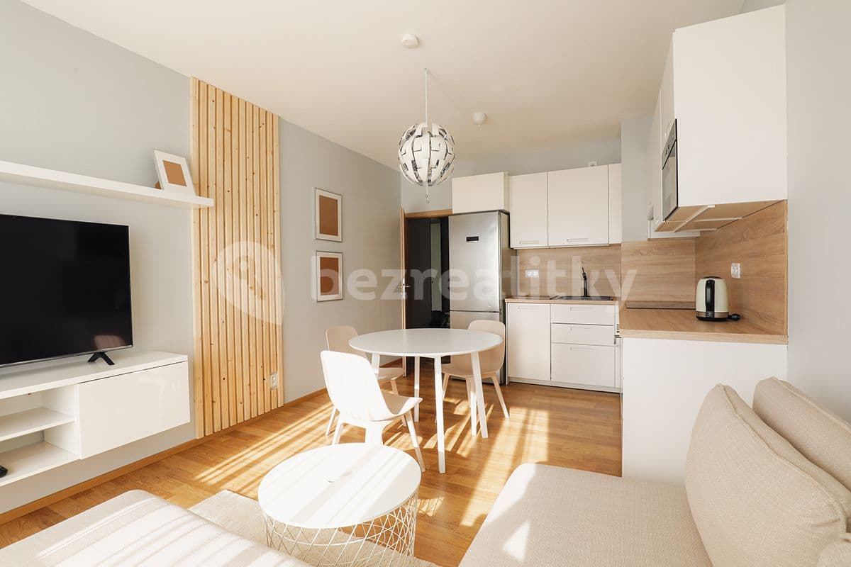 1 bedroom with open-plan kitchen flat to rent, 55 m², Rychtáře Petříka, Prague, Prague 1 bedroom with open-plan kitchen flat to rent, 55 m², Rychtáře Petříka, Prague, Prague