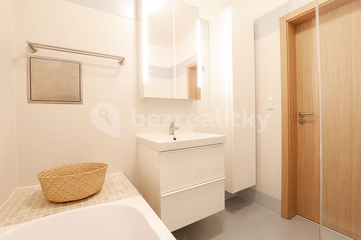 1 bedroom with open-plan kitchen flat to rent, 55 m², Rychtáře Petříka, Prague, Prague 1 bedroom with open-plan kitchen flat to rent, 55 m², Rychtáře Petříka, Prague, Prague